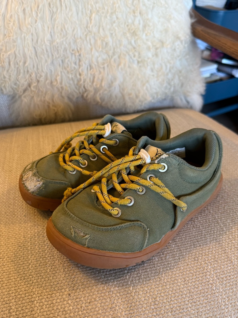 Little Wild Barefoot Shoes
